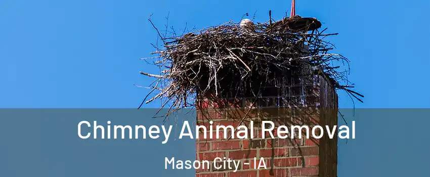  Chimney Animal Removal Mason City - IA