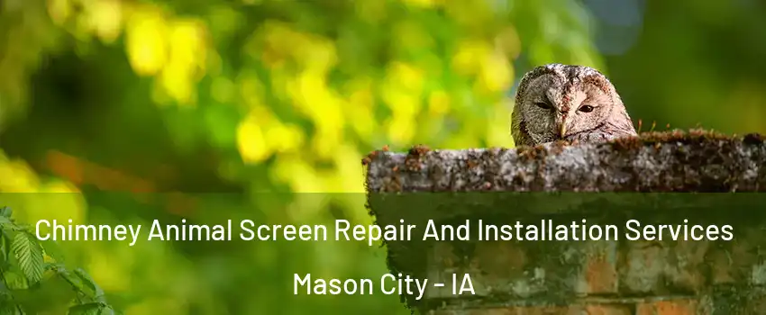  Chimney Animal Screen Repair And Installation Services Mason City - IA