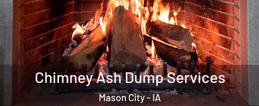  Chimney Ash Dump Services Mason City - IA