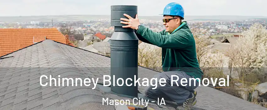  Chimney Blockage Removal Mason City - IA