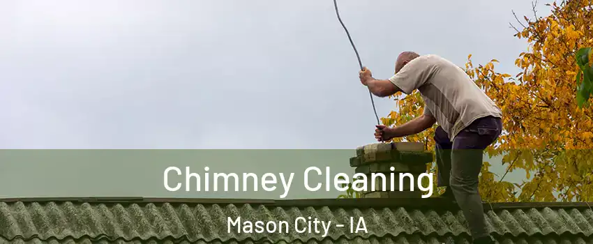  Chimney Cleaning Mason City - IA