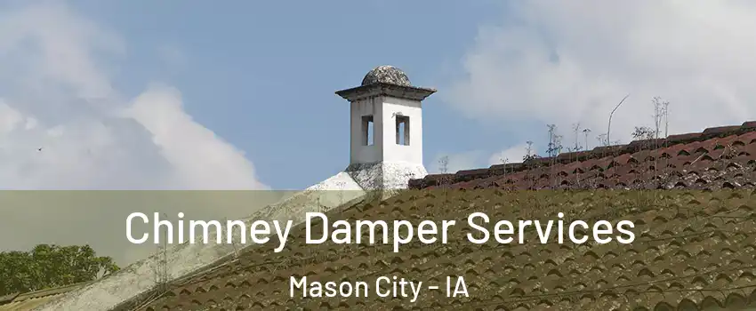  Chimney Damper Services Mason City - IA