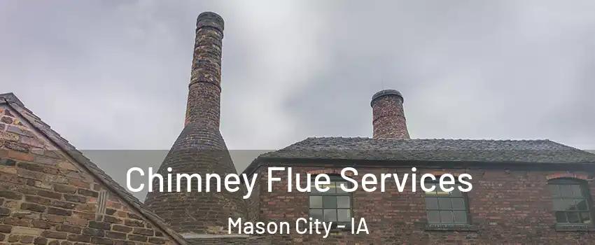  Chimney Flue Services Mason City - IA