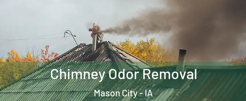  Chimney Odor Removal Mason City - IA