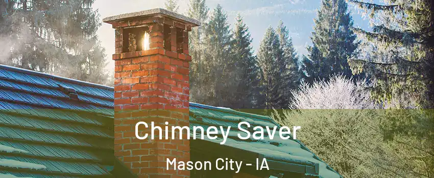  Chimney Saver Mason City - IA
