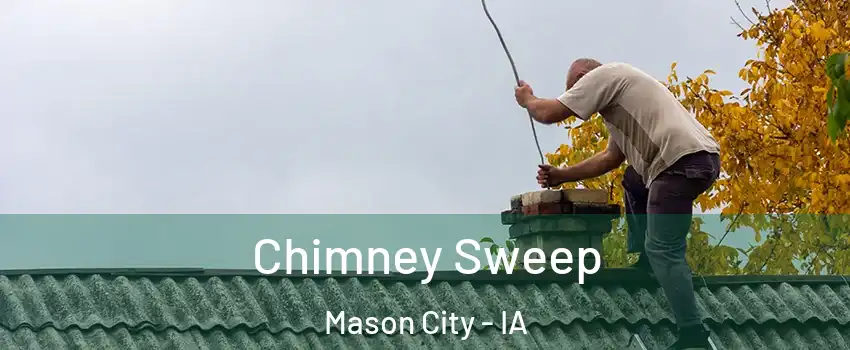  Chimney Sweep Mason City - IA