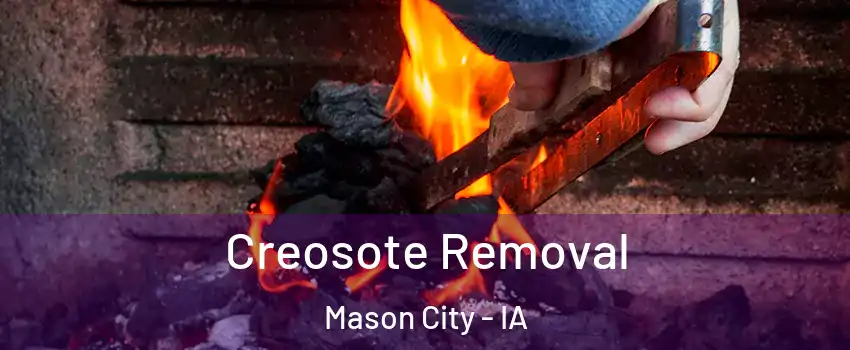  Creosote Removal Mason City - IA
