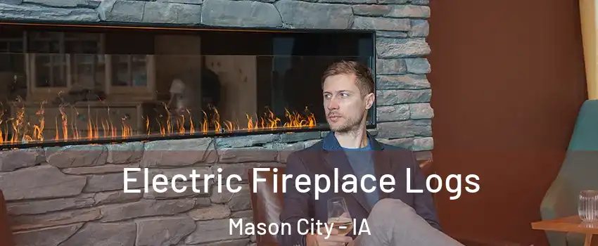  Electric Fireplace Logs Mason City - IA