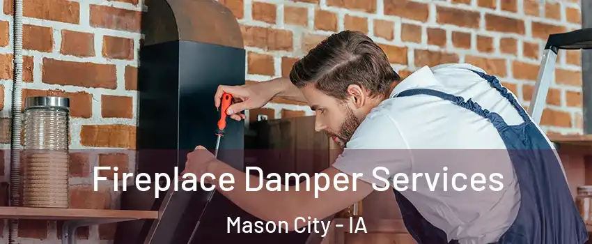  Fireplace Damper Services Mason City - IA