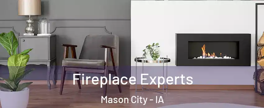  Fireplace Experts Mason City - IA