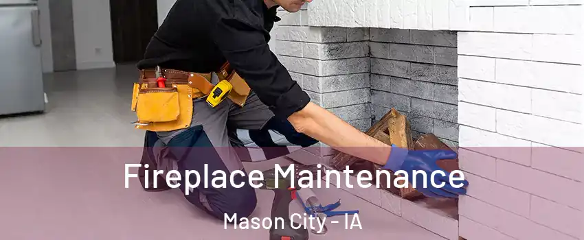  Fireplace Maintenance Mason City - IA