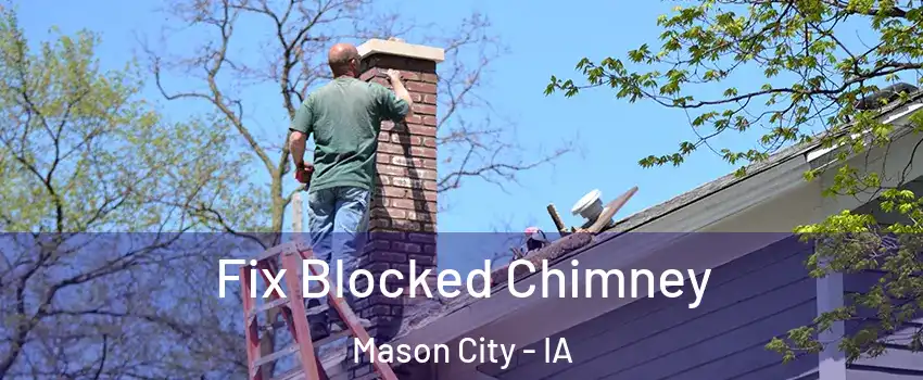  Fix Blocked Chimney Mason City - IA