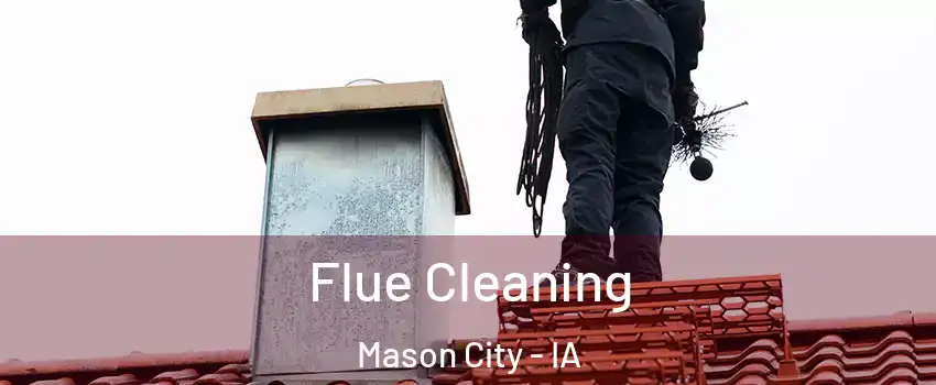  Flue Cleaning Mason City - IA