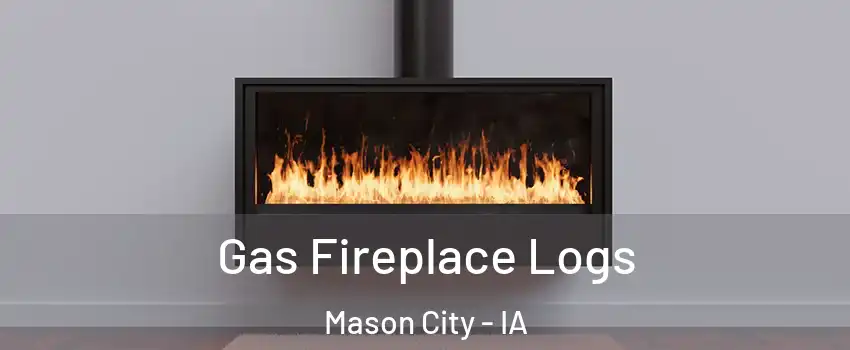  Gas Fireplace Logs Mason City - IA