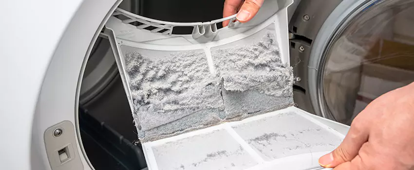 Best Dryer Lint Removal Company in Mason City, Iowa