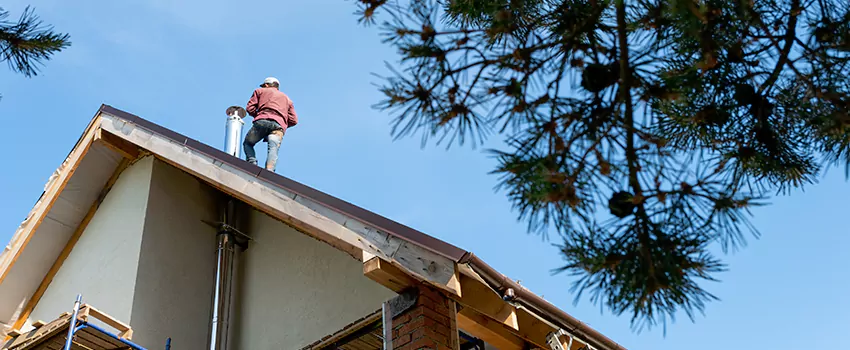 Birds Removal Contractors from Chimney in Mason City, IA