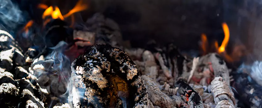 Creosote Removal Experts in Mason City, IA