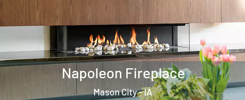  Napoleon Fireplace Mason City - IA
