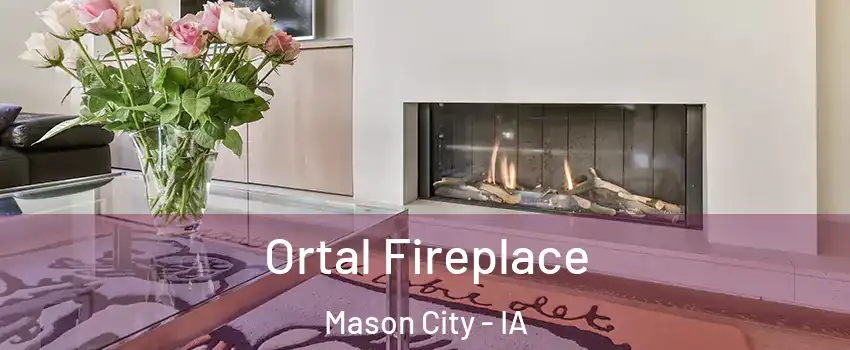 Ortal Fireplace Mason City - IA